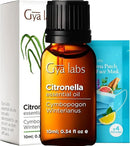 Gya Labs Citronella Essential Oil - 0.34 Fl Oz - 100% Pure Natural Citronella Oil for Skin, Diffuser, Candle Making Scent by CozyNest Decor