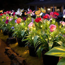 Solar Flowers Lights Outdoor Waterproof, 3 Pack 2 in 1 Solar Butterfly Bouquet for Garden Decor, LED Warm Lighting Garden Lights Outdoor for Pathway Yard Patio Decoration by GreenHaven Gardens