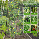 Heavy Duty 50"x17" Adjustable A-Frame Trellis for Climbing Plants – Rust-Proof Metal Garden Trellis with Dense Grid Design, Perfect for Raised Beds, Tomatoes, Cucumbers & Outdoor Vines (Black, 1 Pcs) by GreenHaven Gardens
