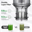 Juicer Machines, Cold Press Juicer with 5.0” Large Feed Chute Fit Whole Fruits & Vegetables, Stainless Steel Masticating Juicer With Pulp Seperation, 99% Juice Purity, 200W Quiet Motor, Easy to Clean by CozyNest Decor