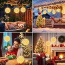 Brightown 6" Christmas Lighted Sphere Balls, 100 LED Warm White Starlight Ball - Plug-in Waterproof Outdoor & Indoor Christmas Holiday Decoration by GreenHaven Gardens