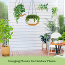 10 Inch Hanging Planters with Chains 2 Pack Self Watering White Brown Plastic Hanging Pots for Indoor Outdoor Plants, Garden Porch Home Decor (White Brown) by GreenHaven Gardens