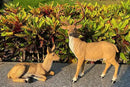 XTAPAN Resin Female Deer & Standing Male Deer Figurine Animals Statue Home Garden Yard Ornament Lawn Outdoor Patio Decor by GreenHaven Gardens