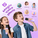 Mini Karaoke Machine for Kids Adults, Kids Toys Karaoke Microphone Singing Speaker, Karaoke Player with 2 Wireless Mic Party, Birthday Gifts for Girls Ages 4, 5, 6, 7, 8, 9, 10, 12+ Years Old(Purple) by TinyTreasures Baby Boutique