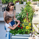 Land Guard 2Pcs Galvanized Raised Garden Bed with Legs, 48×24×32in Large Metal Elevated Raised Planter Box with Drainage Holes for Backyard, Patio, Balcony, 400lb Capacity by GreenHaven Gardens