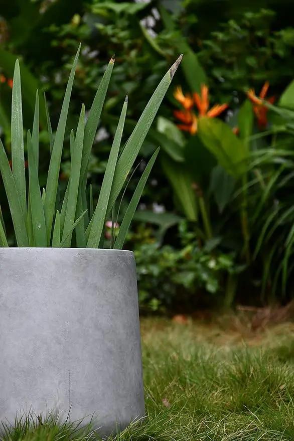 Kante 15.3" Dia Round Concrete Planter, Outdoor Indoor Large Plant Pots Containers with Drainage Hole and Rubber Plug for Home Garden Patio, Natural Concrete, photo 2 of 15