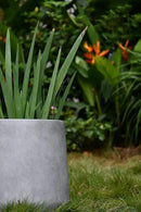 Kante 15.3" Dia Round Concrete Planter, Outdoor Indoor Large Plant Pots Containers with Drainage Hole and Rubber Plug for Home Garden Patio, Natural Concrete by GreenHaven Gardens