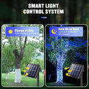 JMEXSUSS 2 Pack Blue and White Solar Christmas Lights, Total 400 LED 151FT Solar String Lights Outdoor Waterproof, 8 Modes Solar Light for Outside Tree Patio Christmas Decorations by GreenHaven Gardens
