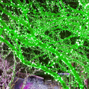 String Lights, 2 Pack Battery Operated String Lights with Remote Timer Waterproof 8 Modes String Lights for Bedroom,Garden,Party,Xmas Tree Indoor Outdoor Decorations (Green, 16.4) by GreenHaven Gardens