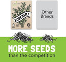 Culinary Herb Seeds Variety Pack: 10 Spice Herbs, Hydroponic Garden Indoors, Heirloom Planting Basil, Parsley, Sage, Thyme, Rosemary, Cilantro, Chives Dill Oregano, Summer Savory by Sustainable Sprout by GreenHaven Gardens