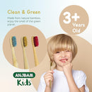 Children Bamboo Toothbrushes for 3 y+ Tots, BPA Free Bristles, Medium Soft, 6 PCS Bamboo Toothbrush for Dental Hygiene, Compostable and Sustainable, Classic Rounded Handle for Easy Grip by TinyTreasures Baby Boutique