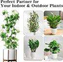 ZOUTOG Trellis for Climbing Plants Indoor 30 Inch, Houseplant Trellis for Potted Plants Metal 4Pcs for Vine Ivy Flower Support,Round Shape,Golden by GreenHaven Gardens