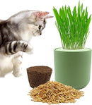 Ceramic Pot Cat Grass for Indoor Cats with Organic Cat Grass Seed Mix – Safe Pet Grass for Cats and Small Pets | Easy-to-Grow Indoor Garden for Pet Digestion (Green) by GreenHaven Gardens