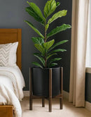 D'vine Dev Planter Pot with Stand - 12 Inch Plastic Cylinder Flower Pot with Wood Planter Holder for Indoor, Matte Black Pot + Walnut Color Stand, 55-C-O-2 by GreenHaven Gardens