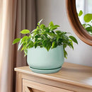 G EPGardening Ceramic Plant Pots - 6 Inch Pot for Plants, Ceramic Planter with Drainage and Saucer, Flower Indoor Outdoor Planter, Modern Bathroom Decor, Birthday Gifts, Green by GreenHaven Gardens