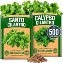 HOME GROWN Cilantro Seeds 250 Calypso & 250 Santo Cilantro for Planting Indoors, Hydroponics or Aerogarden - Heirloom, Non-GMO, Santo Plant, for Your Indoor Herb Garden by GreenHaven Gardens