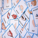 SANTSUN 36 Pieces of My Body Parts Flash Cards for Toddlers- The Flash HolePunched- So You can sort and Organize The Cards Easily and Early Learning Kindergarten Teacher Tools by TinyTreasures Baby Boutique