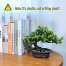 Artificial Plants Greenery Bonsai, Room Decor Fake Bonsai Tree for Home Decor Indoor Bookshelf Office Desk Bathroom Farmhouse Decor, Tall 9.5" by GreenHaven Gardens
