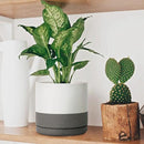 D'vine Dev 6 Inch & 8 Inch Ceramic Planter Pots for Plants with Drainage Hole and Saucer, Medium Plant Pots Set, White/Speckled Grey, 94-G-M-6 by GreenHaven Gardens