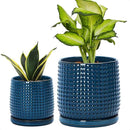 D'vine Dev 6 Inch 4 Inch Ceramic Indoor Planter Pots with Drainage Hole and Saucer, Beaded Design Flower Pots, Set of 2, Blue, 27-D-U-3 by GreenHaven Gardens