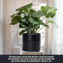 Phoenix Vine 8 Inch Self-Watering Planter Pot with Terracotta Insert, Deep Water Reservoir, and Ceramic-Alike BPA-Free Plastic Planter Pot for Plant, Modern Planter for Houseplants, Black, 53-A-T-2 by GreenHaven Gardens