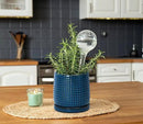 D'vine Dev Set of 2 Ceramic Plants Pots, 6 Inch Beaded Stoneware Flower Pot for Plants with Drainage Hole and Saucer, Midnight Blue, 27-E-X-3 by GreenHaven Gardens