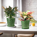 BUYMAX Plant Pots Indoor –6 inch Ceramic Flower Pot with Drainage Hole and Ceramic Tray - Gardening Home Desktop Office Windowsill Decoration Gift, Set of 2(Patina) by GreenHaven Gardens