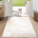 MXSANYOO Area Rug 3x5 Modern Abstract Beige Washable Non Slip Stain Resistant Indoor Rectangular Bedroom Kitchen Entryway Office by TinyTreasures Baby Boutique