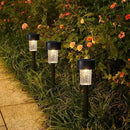 Dynaming 16 Pack Outdoor Solar Pathway Lights, Warm White LED Solar Powered Walkway Lights, Waterproof Landscape Decorative In-Ground Lighting for Garden Lawn Patio Yard Deck Driveway by GreenHaven Gardens