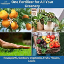 20-20-20 Water-Soluble Fertilizer – Powder for Liquid Plant Food for Indoor & Outdoor Plants, Orchids, Vegetables, Lawns, Flowers – 20 20 20 Fertilizer 3 Quarts (6 lbs) by GreenHaven Gardens