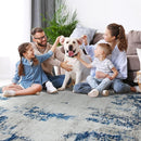 5x7 Area Rugs for Living Room Rug Washable: Modern Rug for Dining Room Bedroom Carpet Non Slip Low Pile 5 by 7 Indoor Abstract Nursery Home Office Blue White by TinyTreasures Baby Boutique