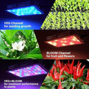TATU 1000w LED Grow Light for Indoor Plants, Full Spectrum Plant Light Growing Lamp for Hydroponic Indoor Plant Veg and Flower for Grow Tent (Actual Power 100W=1000W HPS) by GreenHaven Gardens