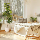 Artificial Fiddle Leaf Tree, 6ft Faux Plant Fake Ficus Lyrata Trees with White Planter, Artificial Fig Trees Floor Plants for House Office Living Room Indoor Home Decor, Housewarming Gift by CozyNest Decor