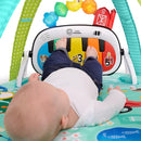 Baby Einstein Farm Explorers 4-in-1 Kickin’ Tunes Musical Meadow Music & Language Discovery Gym, Ages 0 Months and Up by TinyTreasures Baby Boutique