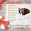 White French Bulldog Dog Planter Plant Pots,Cute Garden Dog Flower Planter,Dog Planters Birthday Gifts for Women,Office,Indoor/Outdoor Decor（9.45 * 6.3 * 13.35in） by GreenHaven Gardens