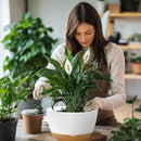 10 Inch Pots for Indoor Plants, Large Self Watering Planters with Drainage and Saucers, Plastic Outdoor Flower Pot, Set of 2, White by GreenHaven Gardens