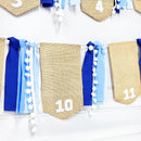 pinkblume 1st Birthday Burlap Photo Banner Garland Handmade Felt from Newborn to 12 Months with Gradient Blue Ribbon for Monthly Milestones Baby Boy First Birthday Party Decorations Supplies by TinyTreasures Baby Boutique