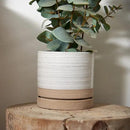 6 Inch Plant Pots, Ceramic Planter Pot with Drainage Hole & Saucer, Indoor/Outdoor Cylinder Round Planter Pot, White & Beige Glaze by CozyNest Decor