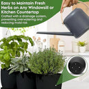 Indoor Garden Kit - Plant Pots with Drainage, Watering Can & Tools - Ideal Windowsill Planter Set - Modern Home & Kitchen Decor Gift - White