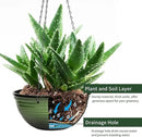 12 inch Hanging Planters for Indoor Outdoor Plants, 2 Pack Large Hanging Flower Pots with Drainage Holes and Chain, Glazed Hanging Baskets for Home Garden Decoration, Green by GreenHaven Gardens