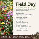 Eden Brothers Field Day Flower Mixed Seeds for Planting, 1/4 lb, 120,000+ Seeds with Zinnia Lilliput, Calendula Mix | Attracts Pollinators, Plant in Spring or Fall, Zones 3, 4, 5, 6, 7, 8, 9, 10 by GreenHaven Gardens