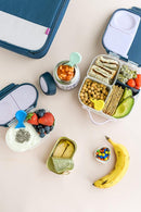 b.box Snack Box for Kids & Toddlers: 2 Compartment Snack Containers, Mini Bento Box, Lunch Box. Leak Proof, BPA free, Dishwasher safe. School Supplies. Ages 4 months+ (Indigo Rose, 12oz capacity) by TinyTreasures Baby Boutique