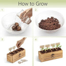 Bonsai Tree Kit – 4X Unique Japanese Bonzai Trees | Complete Indoor Starter Kit for Growing Bonsai Plants with Tools & Planters – Gardening Gifts for Women & Men by GreenHaven Gardens