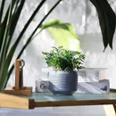 Mini Succulent Planter Set – 3.7 Inch Ceramic Pots with Drainage for Indoor Plants, Small Decorative Flower Pots for Cactus and House Plants, Set of 4 by CozyNest Decor