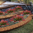 Artificial Agave Plants,Large UV Resistant Fake Agave Planters for Indoor and Outdoor Decorating Tropical Plant Succulents Greenery Indoor Decor (2Pack,22" Red) by CozyNest Decor