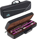 EASTROCK Closed Hole Flutes C 16 Key for Beginner, Kids, Student -Nickel Flute with Case Stand and Cleaning kit (Pink) by TinyTreasures Baby Boutique