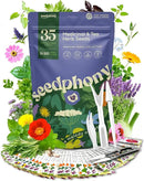 35 Medicinal & Tea Herb Seeds Variety Pack - 16,285+ Non-GMO Heirloom Herbs Seeds for Planting Indoor & Outdoor: Lavender, Rosemary, Echinacea, Mint, Catnip, Basil - Gardening Seed Packets by GreenHaven Gardens