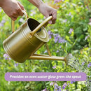 1 Gallon Watering Can for Plants, Watering Cans for Indoor&Outdoor Gardening, Galvanized Steel Watering Pot with Removable Spout, Metal Water Can with Ergonomic Movable Handle(Gold) by GreenHaven Gardens