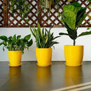 10 Inch Plant Pot - Ceramic Pot for Plants Outdoor Planter for Indoor Plants Large Plant Pot with Drainage Hole and Saucer Round Flower Pot for Home Patio Office Yellow by GreenHaven Gardens