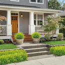 Ouddy Decor 16 Bundles Artificial Plants Outdoor Fake Grass Greenery Stems UV Resistant Faux Plastic Plants Shrubs for Spring Summer Home Garden Pathway Window Box Front Porch Decor, Yellow